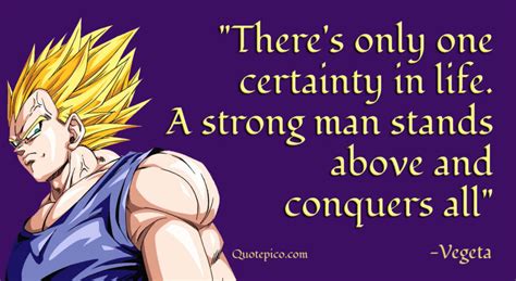 15 Vegeta Quotes to Goku (Kakarot) in DragonBall