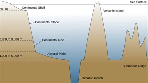 How Deep is the Ocean? [VIDEO] | Science Explanations for Kids