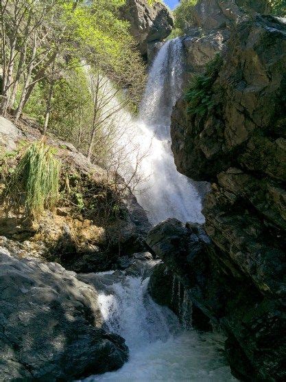 Salmon Creek Falls Trail in the Los Padres National Forest | Los padres ...