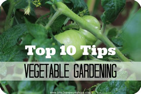 Garden Know How: Top Ten Vegetable Garden Tips