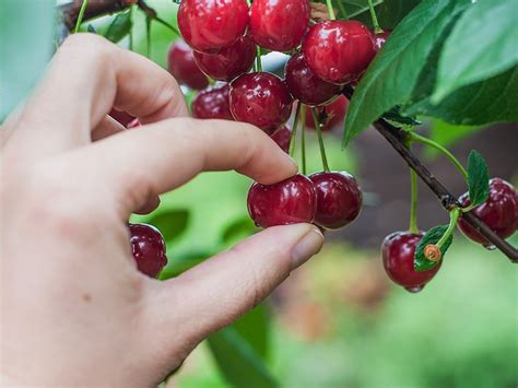 Are More Physicians Cherry-Picking Patients?