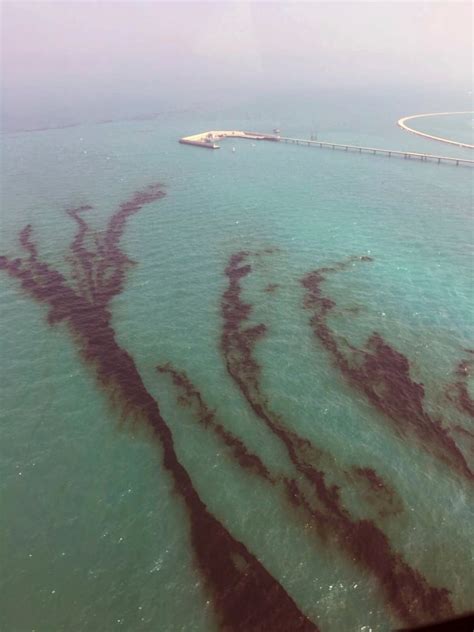 Kuwait battles oil spill in Persian Gulf waters | CBC News