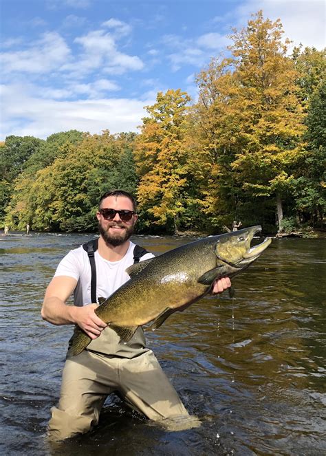 King Salmon, Salmon River Pulaski Ny 10/10/2018 : r/Fishing