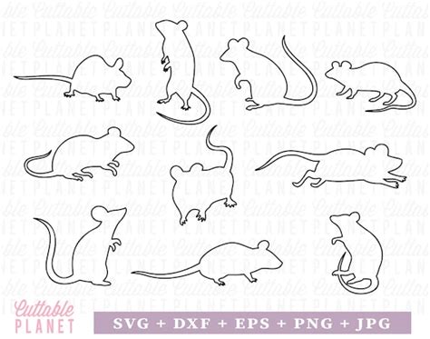 Rats Outline Svg Dxf Eps Png Jpg Outline Rat Mice Svg - Etsy