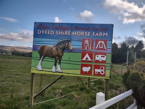 Dyfed Shire Horse Farm | Top 100