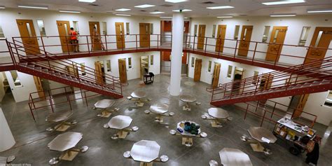 New Model Shows Reducing Jail Population will Lower COVID-19 Death Toll ...