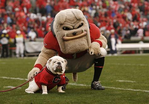 College Football 2011: The 50 Best Mascots in College Football | News ...