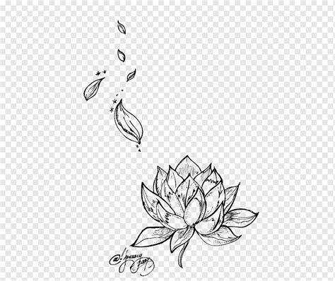 Chinese Lotus Flower Drawing