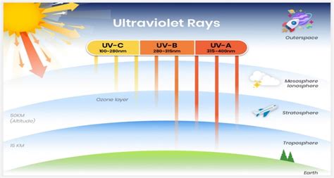 Exploring the Depletion of the Ozone Layer - Kenson Group