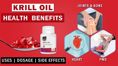 Vestige Krill Oil Benefits in Hindi | Krill oil Vs Fish Oil | Uses ...