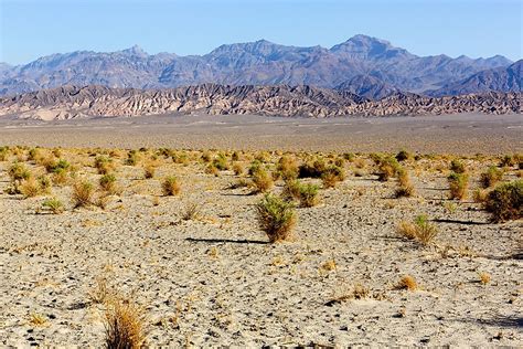 What Are The Characteristics Of A Semi-arid Climate Pattern? - WorldAtlas