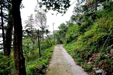 A Complete Tour Guide To Visit Kasauli Hill Station