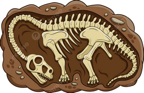 Ilustracja Kreskówka Skamieniałości Dinozaura Brontozaura, Maskotka ...