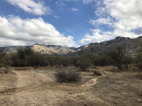 Catalina State Park ( 12/22/16 – 1/5/17) | Tommy & Maureen