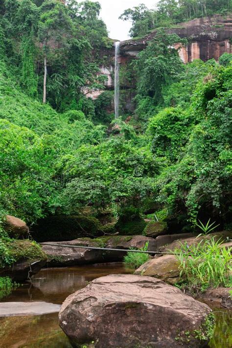 Naga Cave, Amazing of Naga Scales Rock Stone Mountain in Phu Langka ...