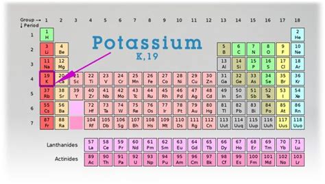 Group 1 Periodic Table Elements