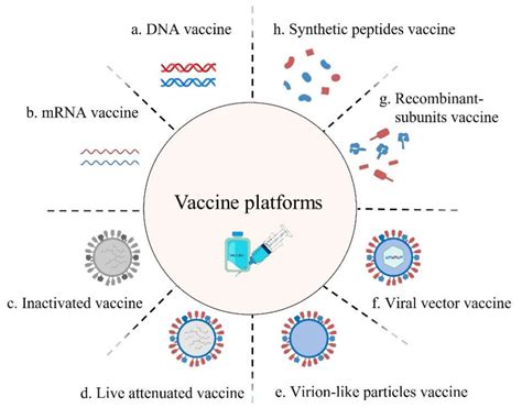 Recombinant Dna Vaccines