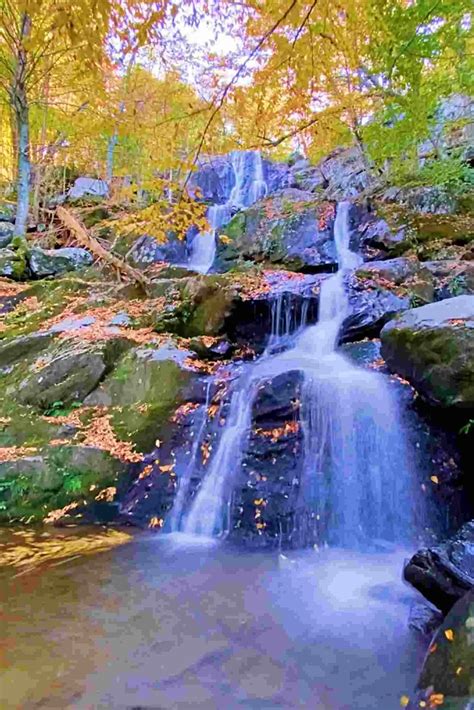 The Best Waterfalls In Shenandoah National Park