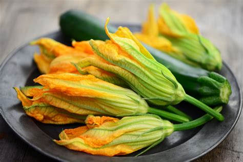 All About Zucchini Flowers - AquaPazza Blog