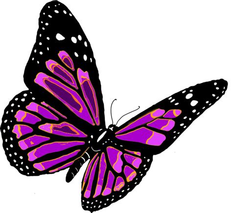 Butterfly PNG Images Transparent Free Download | PNGMart.com