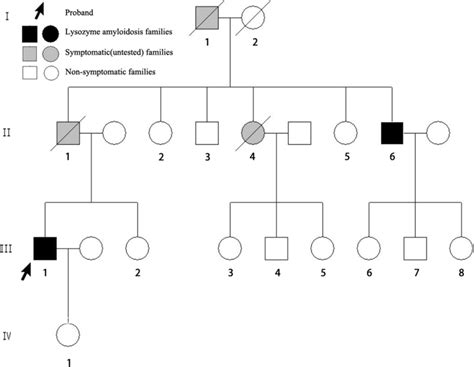 Family tree of the proband’s paternal pedigree. Black symbols denote ...