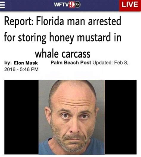 50 WTF Florida Man Memes and Headlines to Feed Your Pool Gators - Funny ...