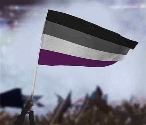 Asexual Pride Flag | Asexual Flag | Flags For Good