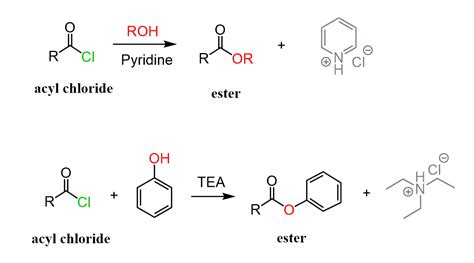 fischer esterification examples