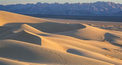 Sand dunes repel each other as they move across a landscape – Physics World