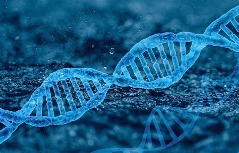 Dna Genetica Molecola - Immagini gratis su Pixabay