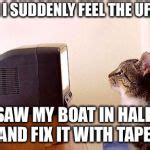 cat watching tv Meme Generator - Imgflip