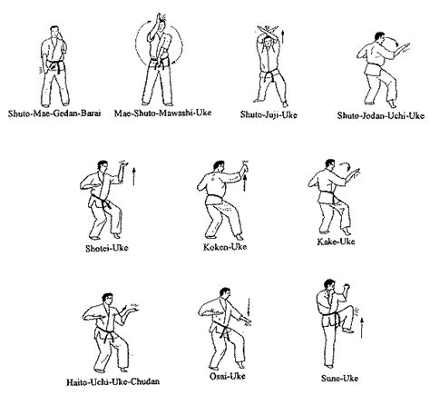 Kyokushin Karate Techniques