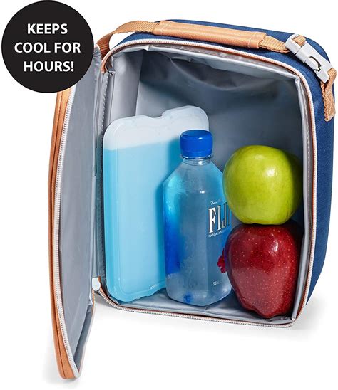 Fit & Fresh XL Reusable Long Lasting, Cold Freeze Blocks for Lunch Box ...