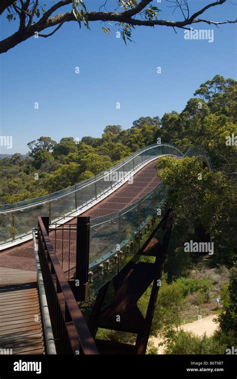 Kings Park Lotterywest Federation Walkway Bridge, Perth, Australia ...