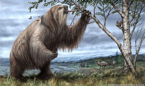 The Prehistoric Giant Sloths: A History Of The Largest Land Mammals To ...