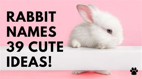 🐰 Rabbit Names 💚 39 CUTE 🥕 BEST ️ Ideas | Names - YouTube