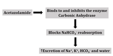 Acetazolamide: SAR, Synthesis, Mechanism, and Uses - Pharmacy India