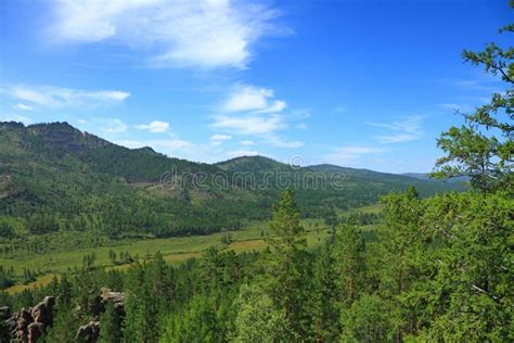 Siberian landscape stock image. Image of blue, birch - 125653207