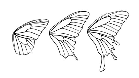 Butterfly Wing Shapes | Drawingbutterfly_8-2_design_shape