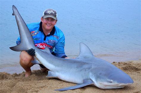 Estuary Bull Sharks - Fish & Boat Magazine