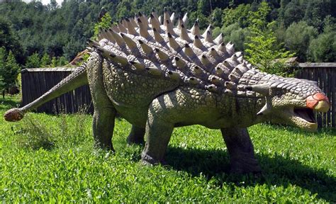 The heaviest Ankylosaurus Top 10. Weight of Ankylosaurus | DinoAnimals.com