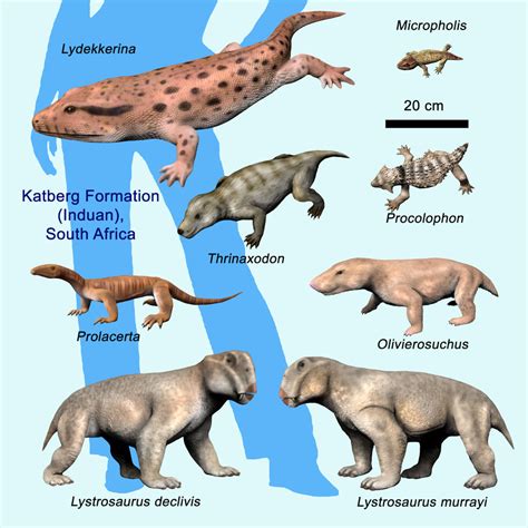 Permian Extinction