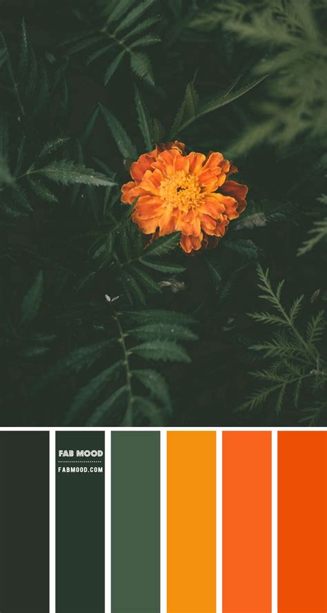 Forest Green and Burnt Orange Color Scheme – Color Palette #77 | Orange ...