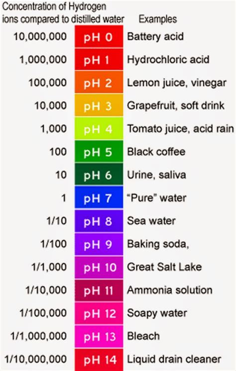 Alkaline Ionized Water -- Learning About Water Ionizers: Why Soda Is so ...