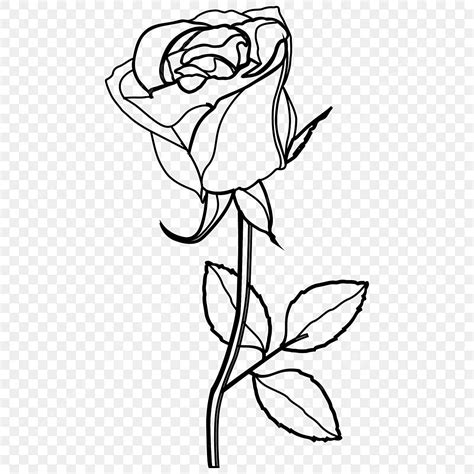 Rose Line Art Flower Continuous One Line Art Drawing Vector Minimalist ...