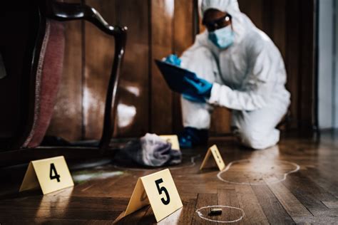 Fingerprints and blood spatter analysis part of SMU's Forensic Science ...