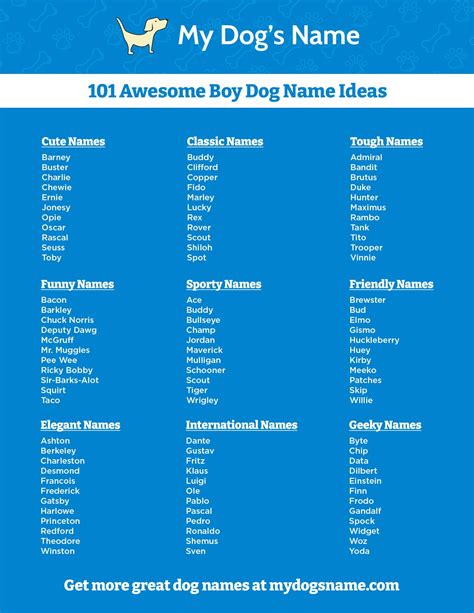 Boy Dog Names - 350 Ideas for Male Puppies - My Dog's Name