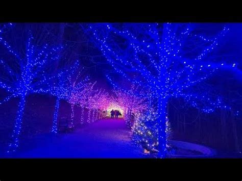 Naumkeag Winter Lights 2023 - YouTube