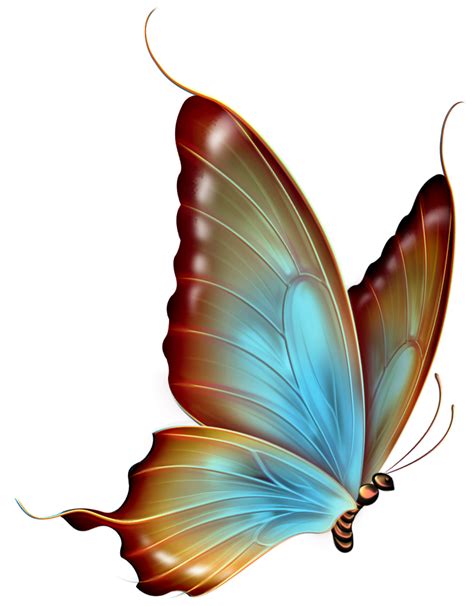 Free Butterfly Png Transparent, Download Free Butterfly Png Transparent ...