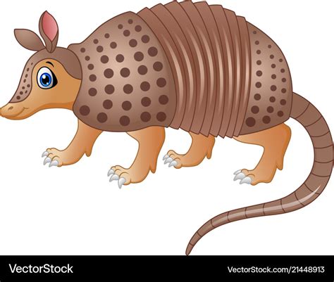 Funny armadillo cartoon Royalty Free Vector Image